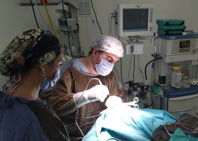 cirujía tigre neurocirujía de alta complejidad