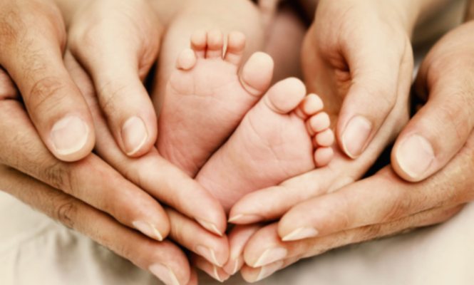 licencias parentales