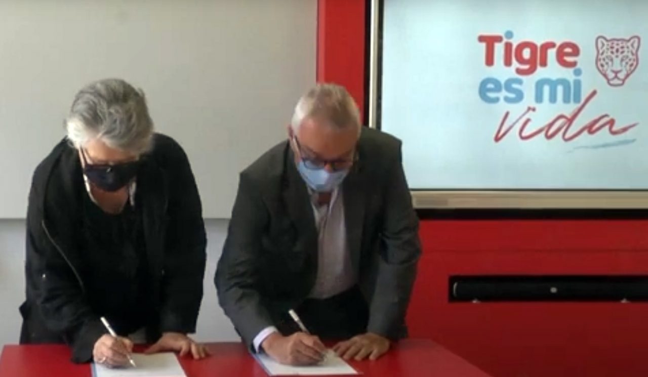 tigre firma convenia
