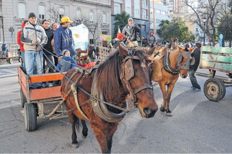 caballos