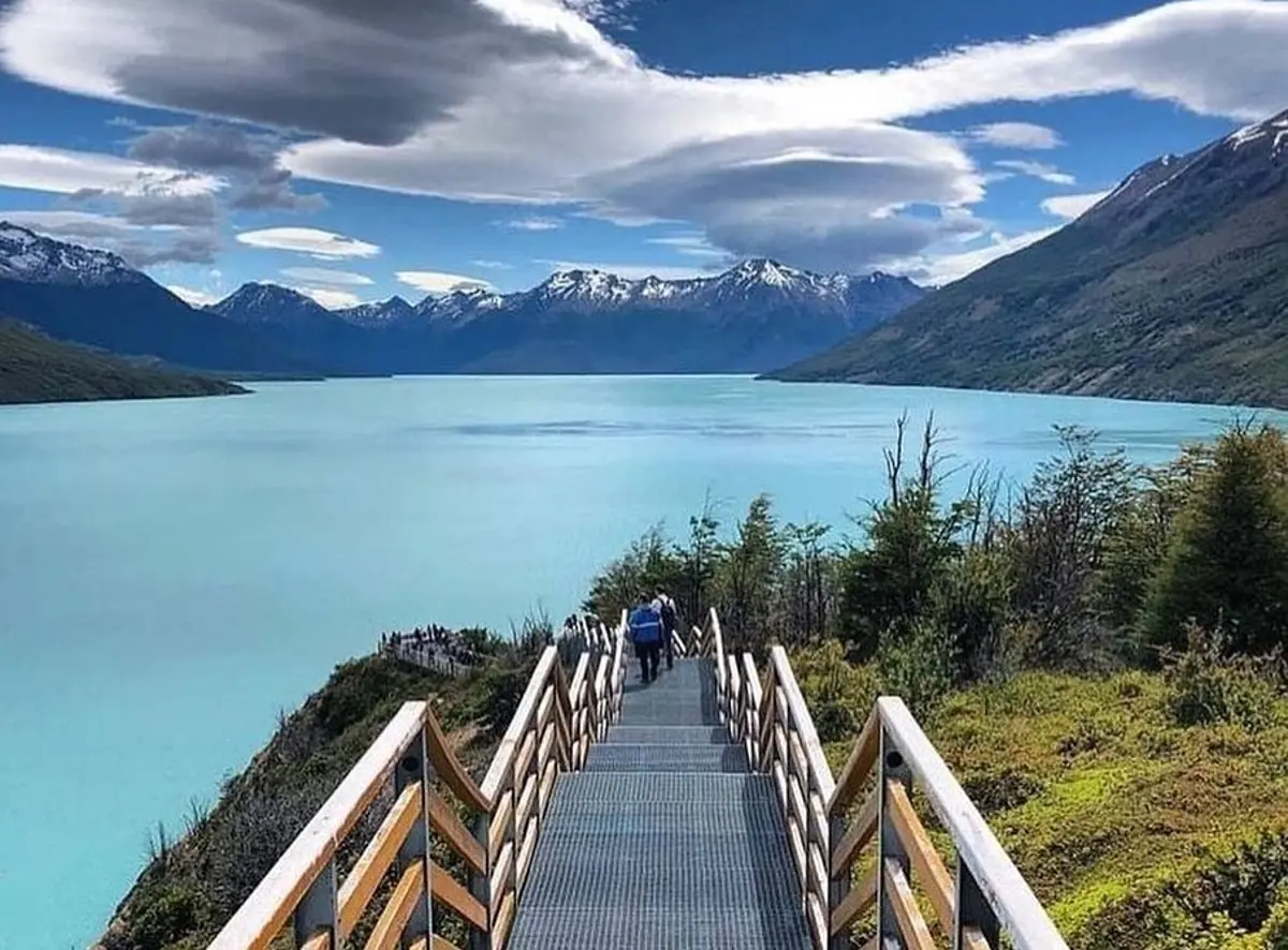 Calafate