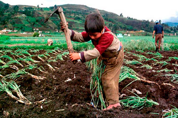 FAO-trabajo-infantil-foro