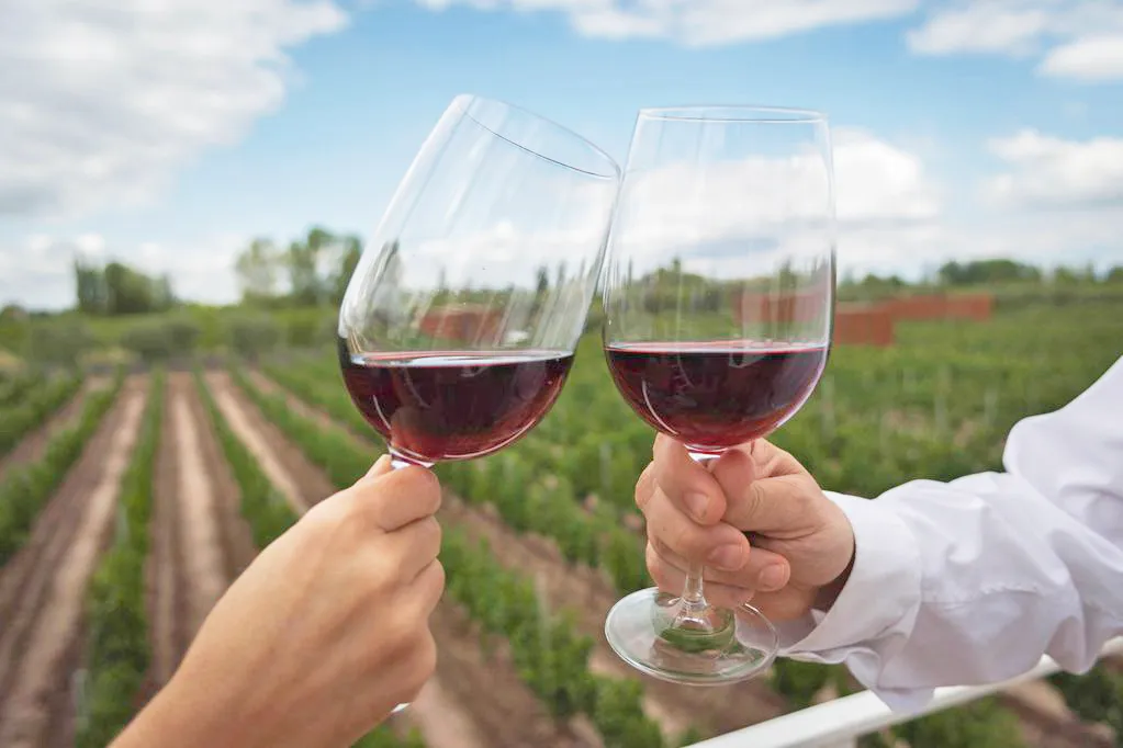 Ruta del Vino