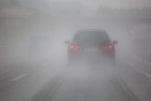 Niebla 2