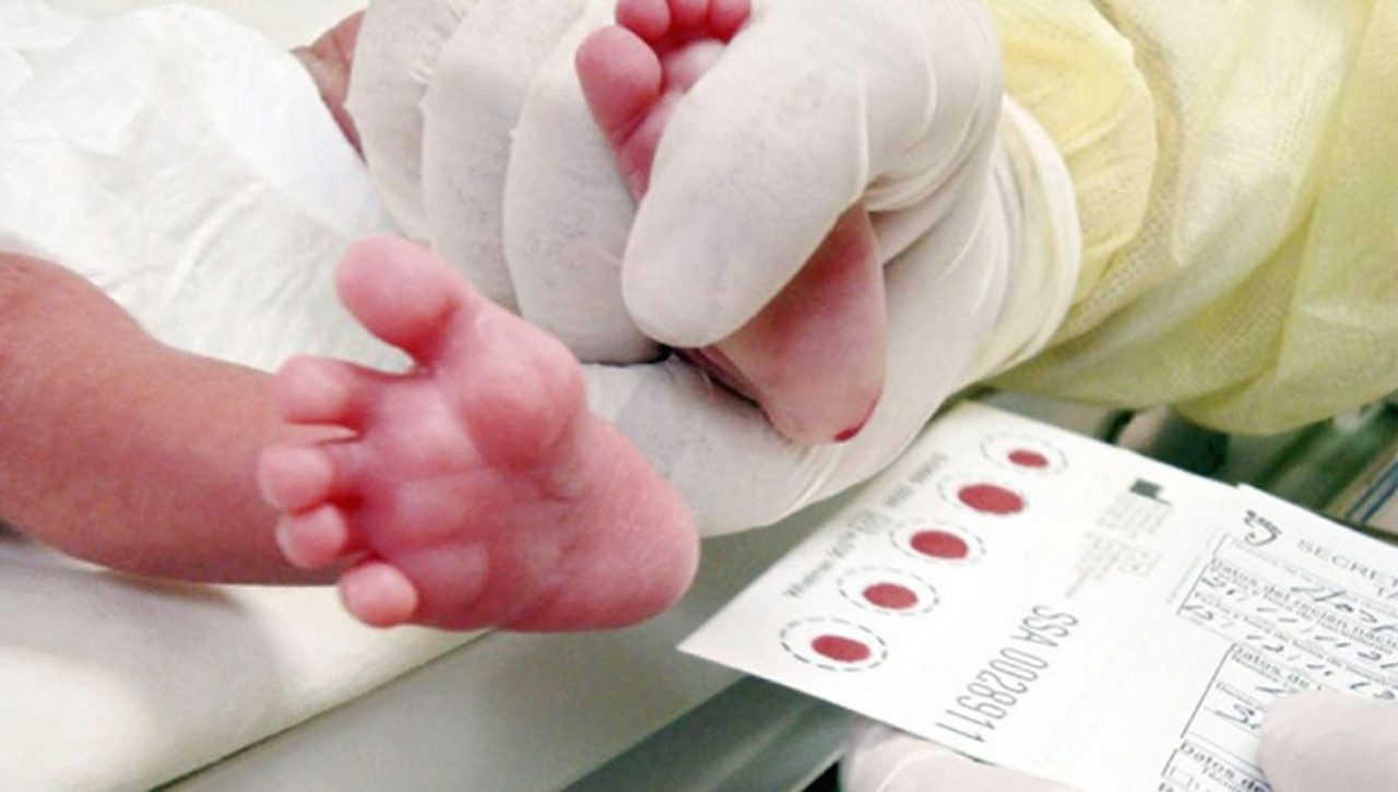Pesquisa neonatal