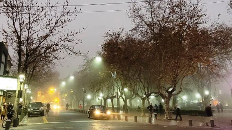 niebla