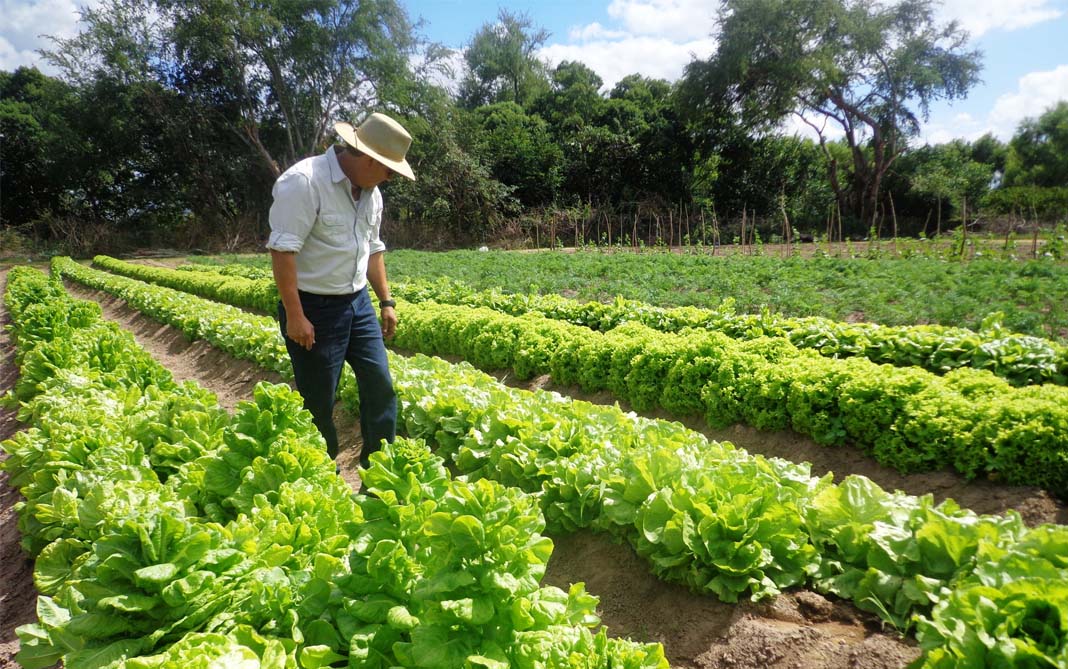 Agroecología