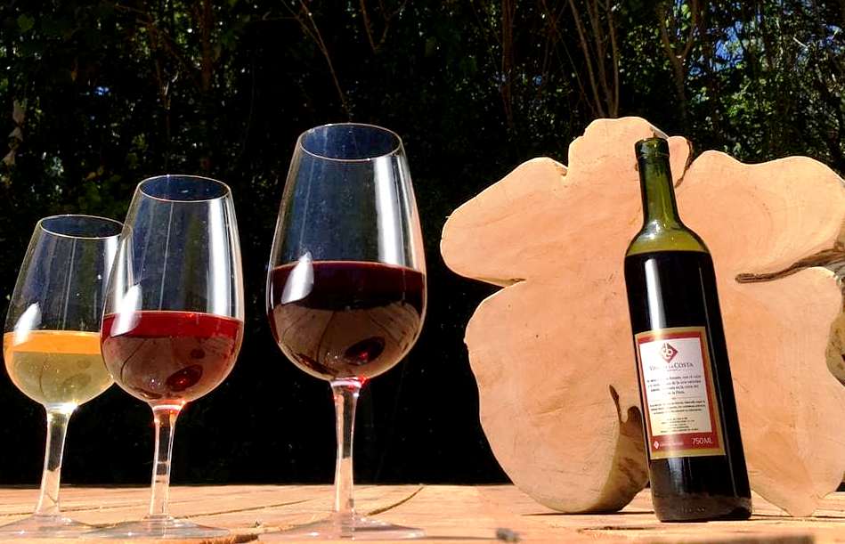 Berisso vinazo