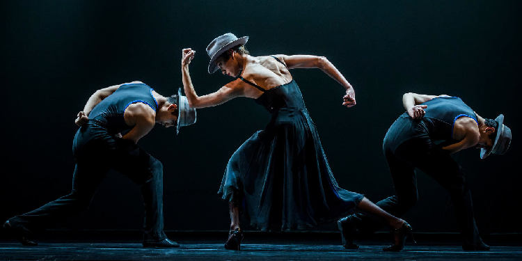 Danza Escenica bonaerense