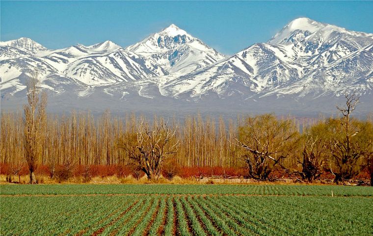 Mendoza 2