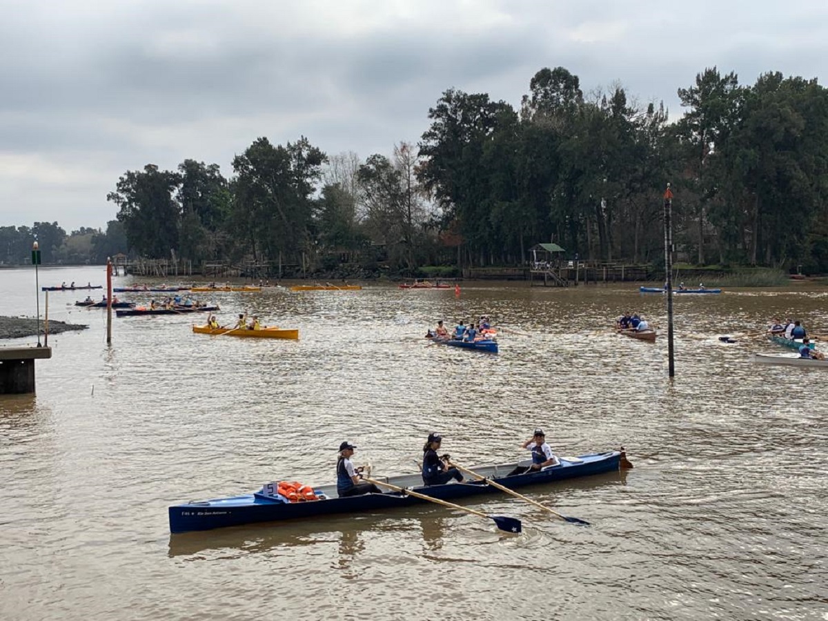 Tigre regata
