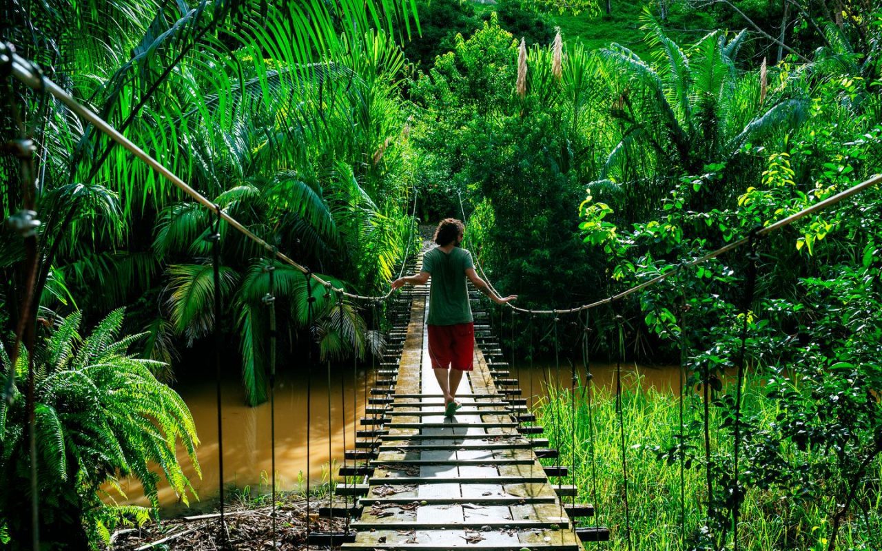 Turismo naturaleza
