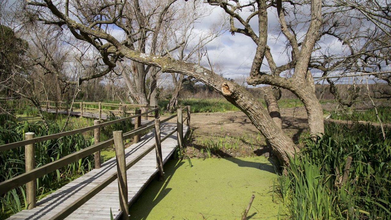 Villa-Domínico-ceamse3
