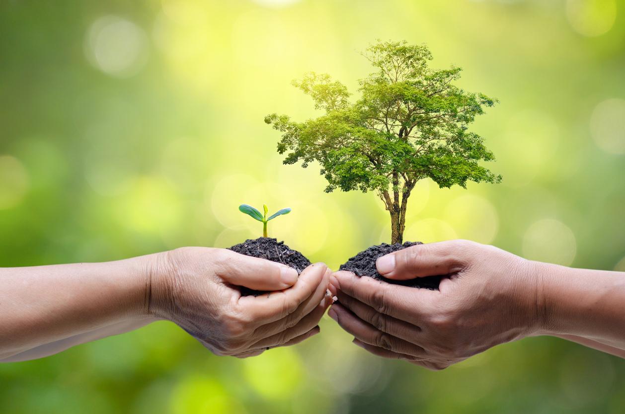 medioambiente