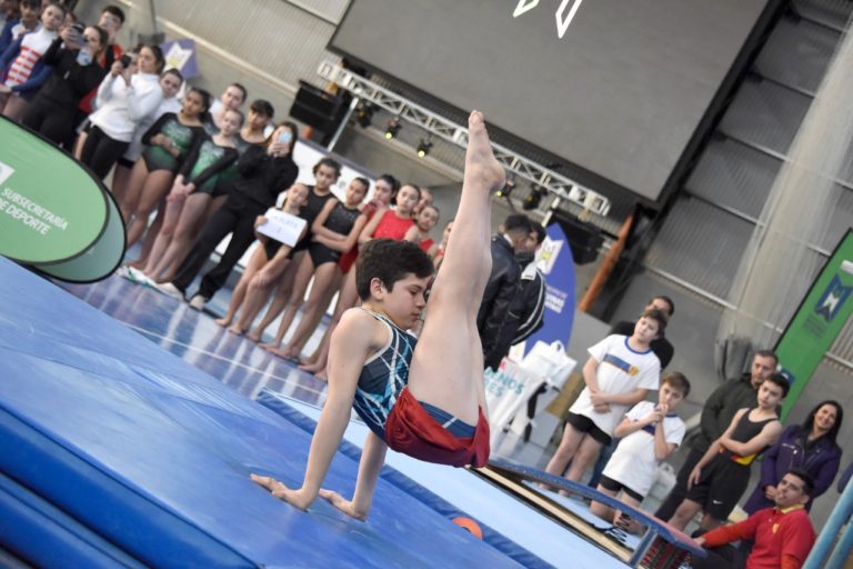 Gimnasia artística 1