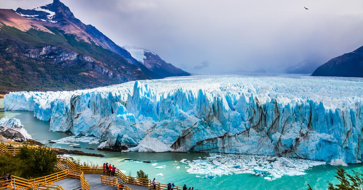 calafate