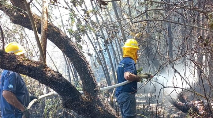 incendio-delta-san-fernando-2-696x385