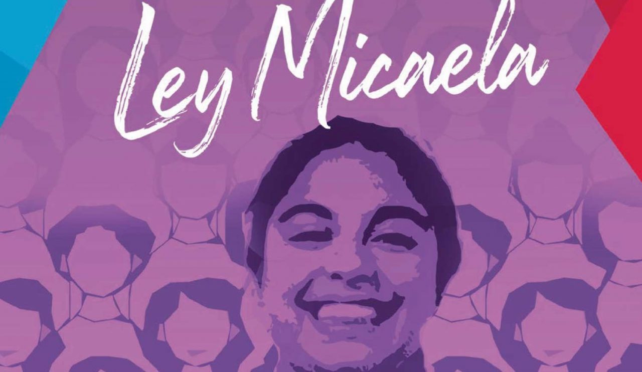 ley micaela
