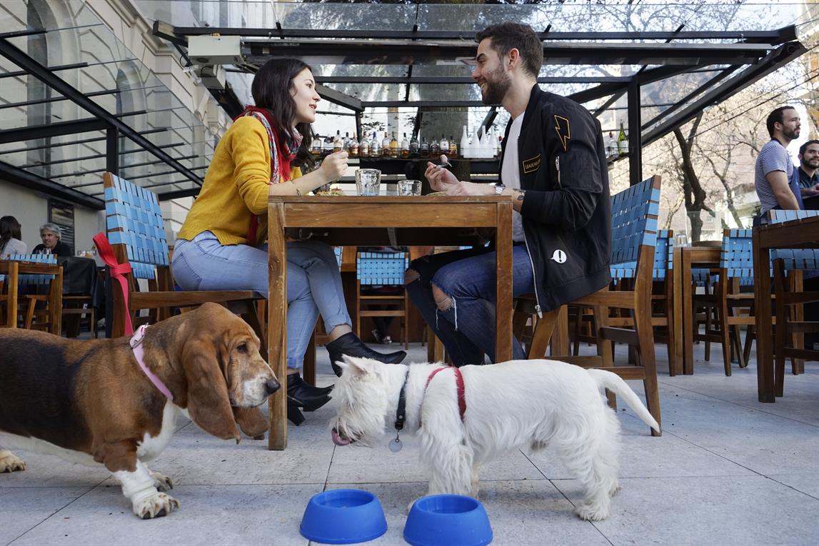 pet-friendly