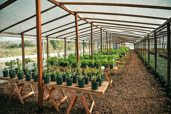 vivero-escobar-3