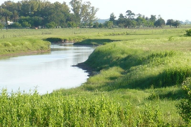 arroyo