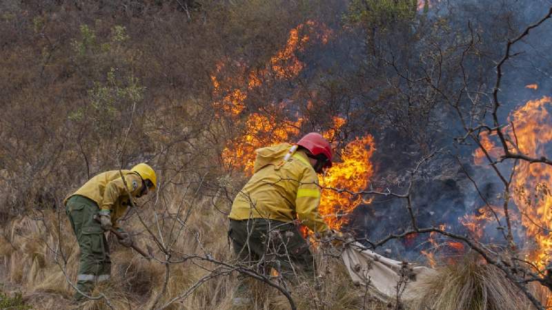 brigadistas-y-baqueanos-logran-frenan-el-avance-del-incendio