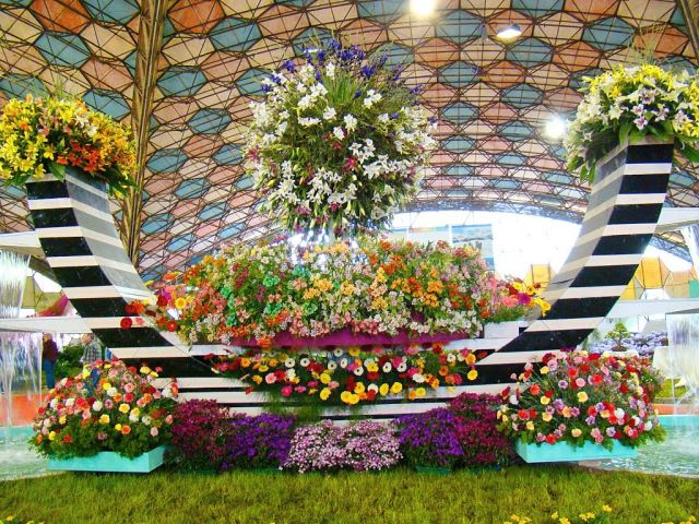 flores