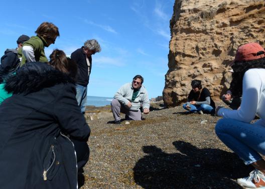 Fotos MGP - Nuevo hallazgo para el patrimonio paleontológico de Mar del Plata