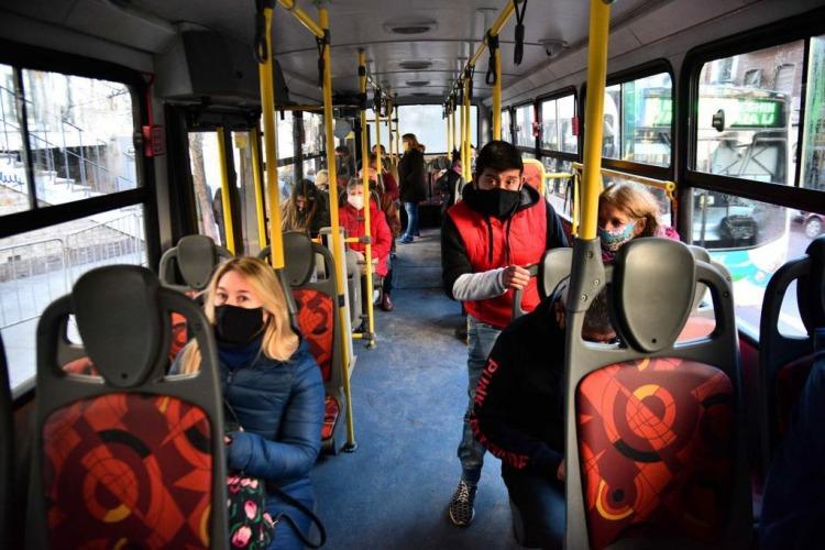 colectivos