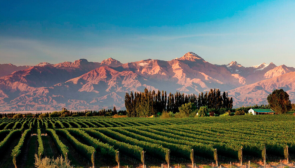 enoturismo-mendoza-infocampo