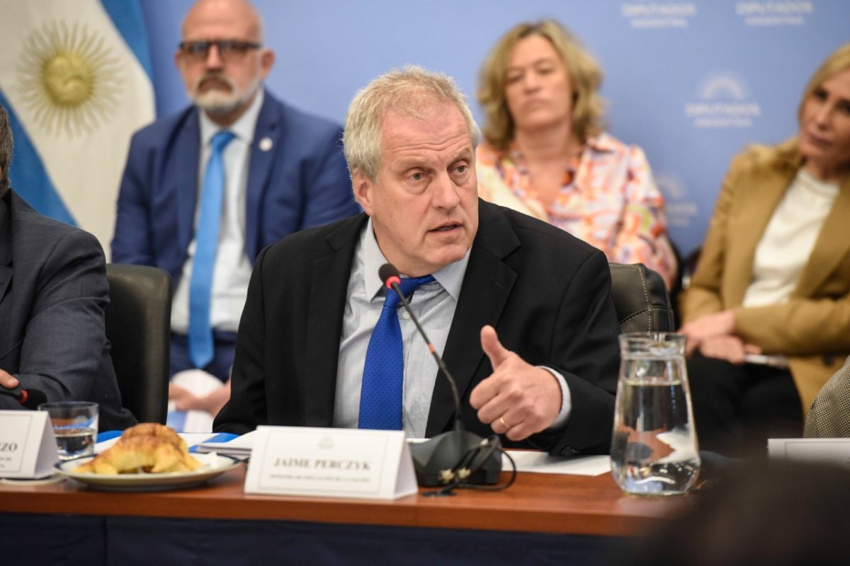 perczyk diputados