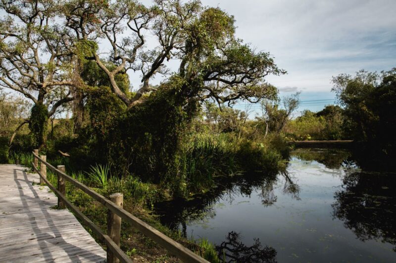 programa parque ambiental