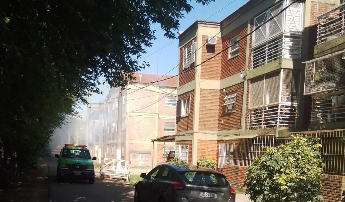 fumigacion