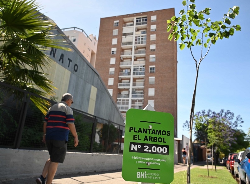plantada-arbol-dos-mil