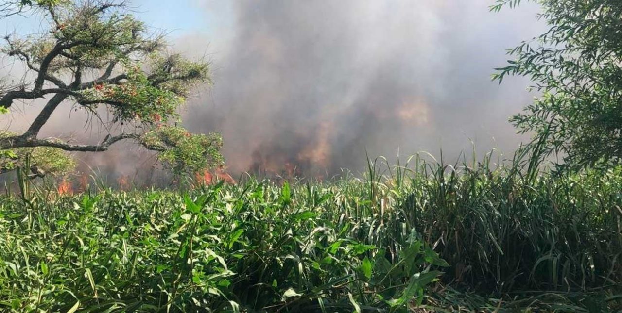 Incendio
