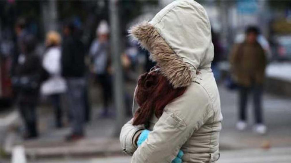 ola polar
