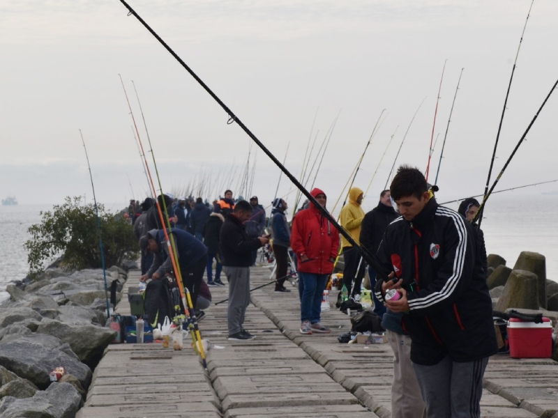 pesca web