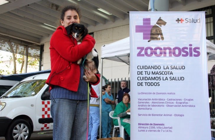 zoonosis
