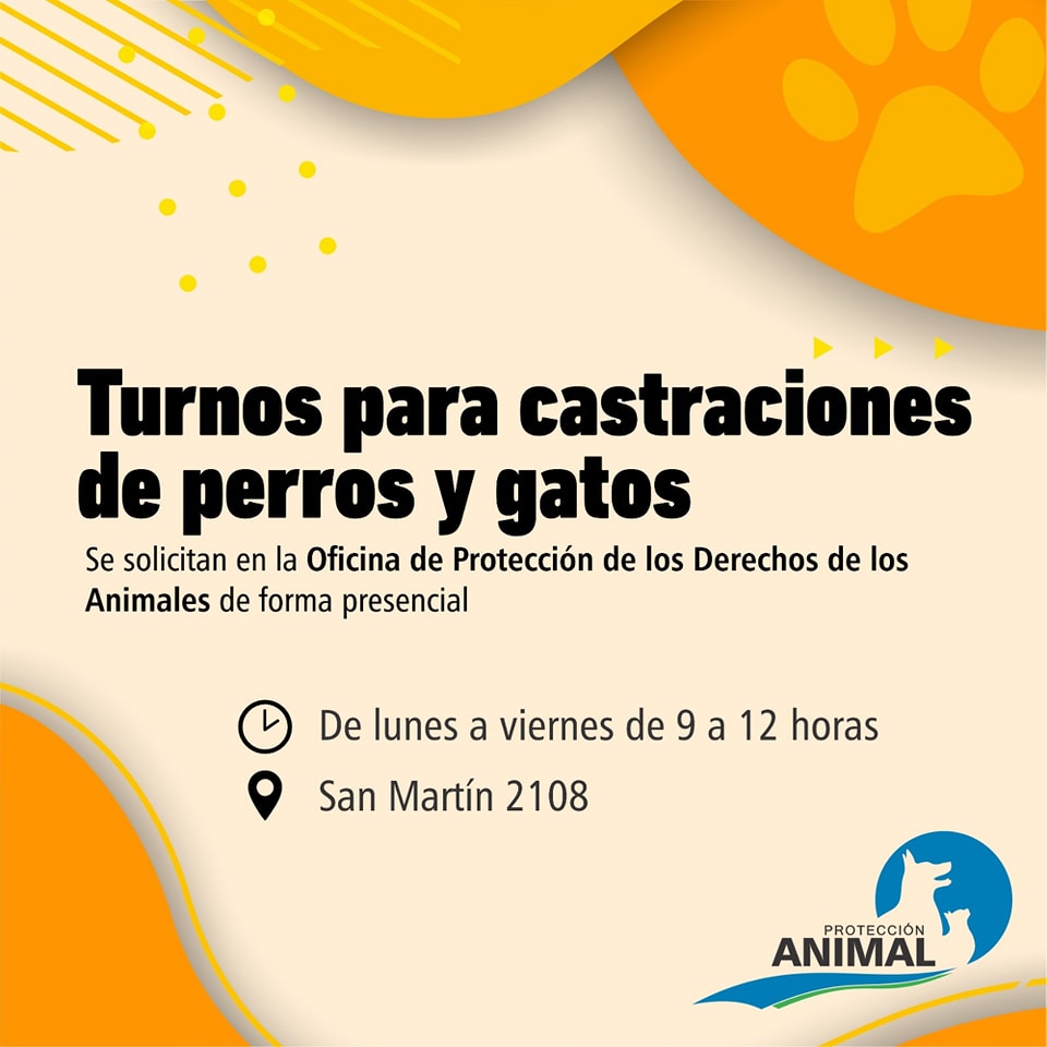Turnos-para-castraciones-de-perros-y-gatos