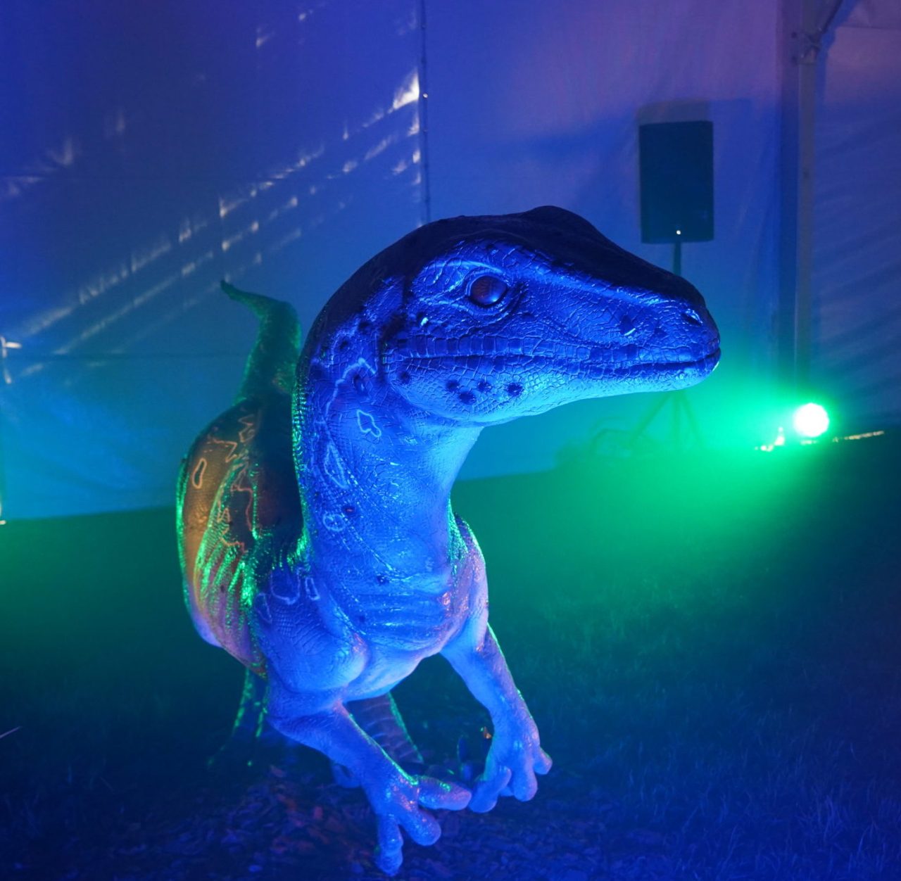 dinos