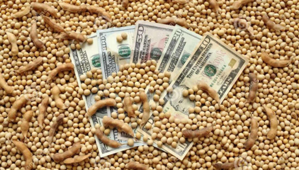 dolar-soja