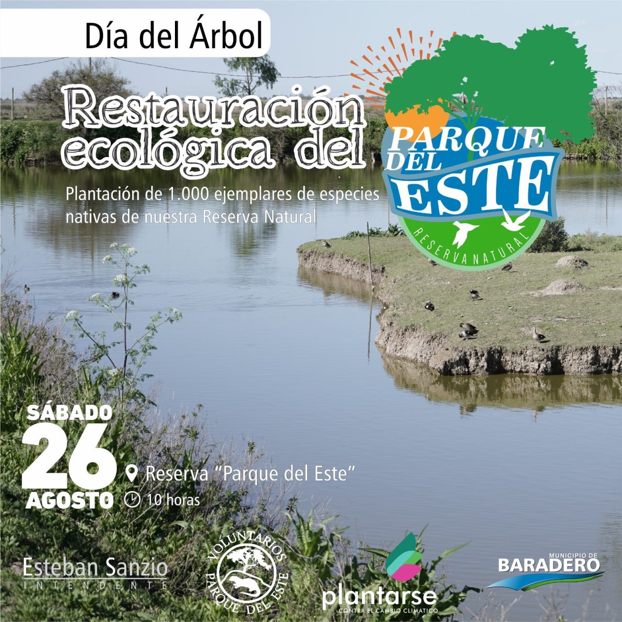 Dia-del-Arbol-Restauracion-ecologica-de-la-Reserva-Paruqe-del-Este-1280x1280.jpeg