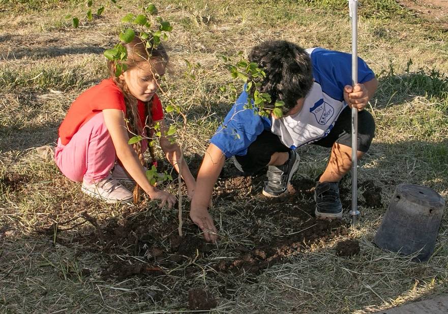 clubes-sustentables