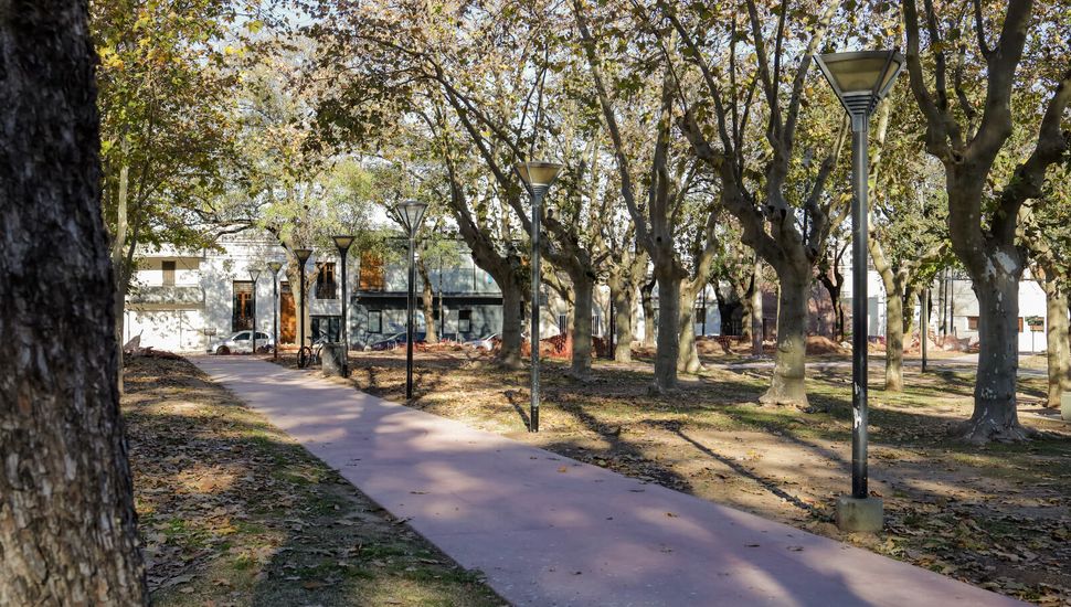 plaza davila