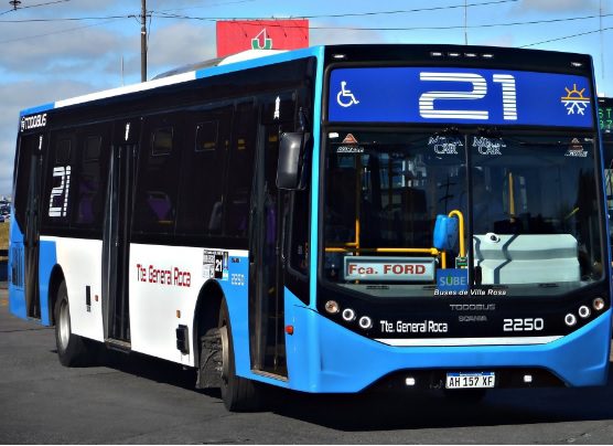 colectivo